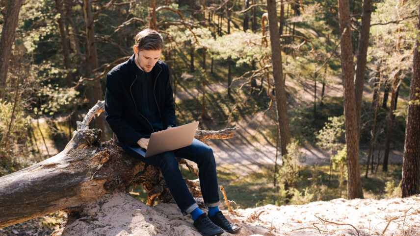 Oksjonikeskkonna kaudu metsa ostes on toeks oma valdkonna spetsialistid, kes ka kogu bürokraatiapoole enda kanda võtavad. (c) Foto: Shutterstock