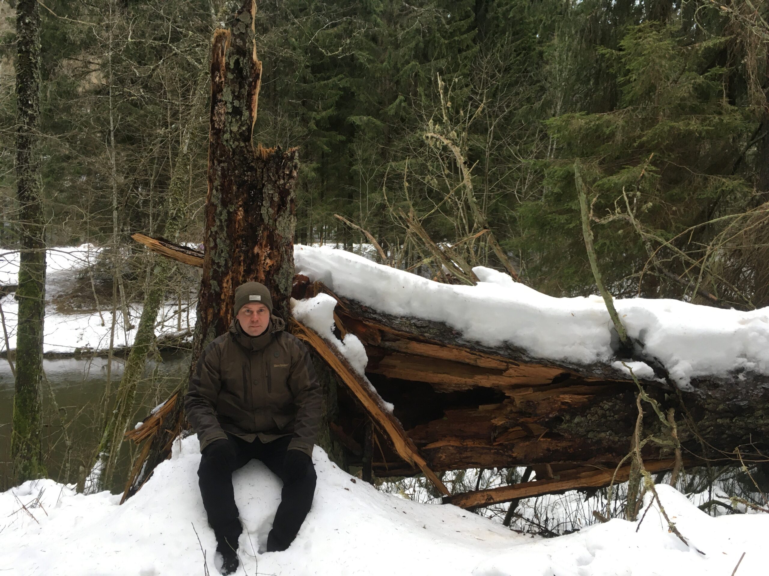 Kuidas ja kui palju võiks raiuda Eesti metsa? Taustu avab metsateadlane Marek Metslaid - Rohegeenius