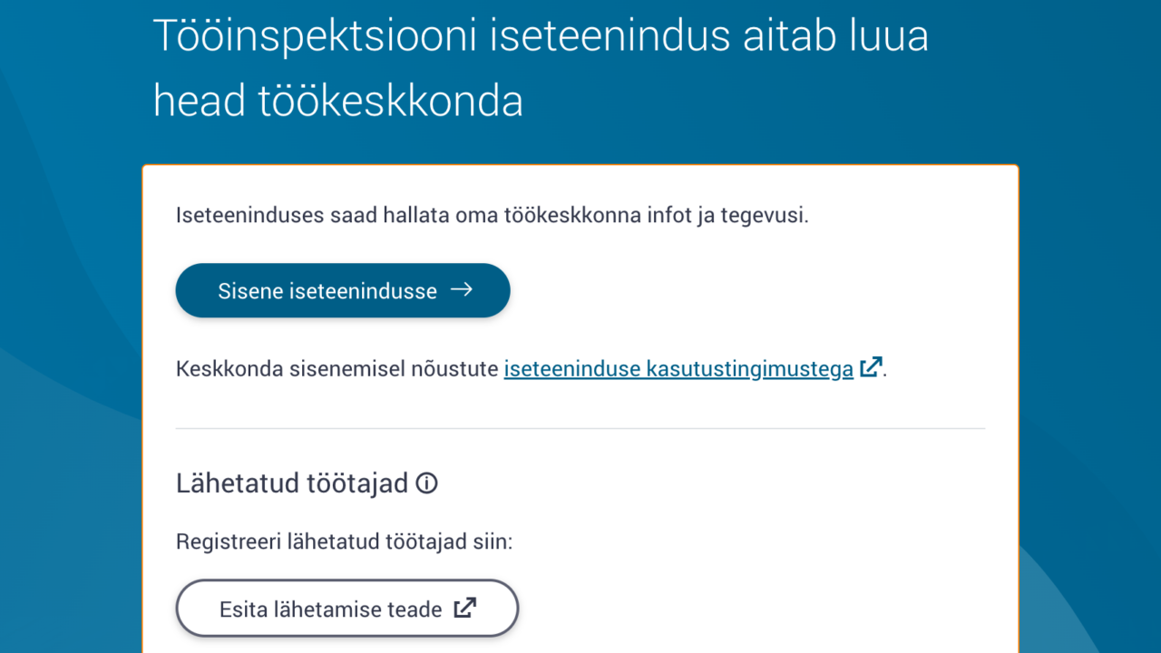 TööinspektsiooniI seteenindus16-9