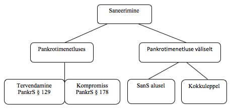 Joonis 1. Eesti saneerimise süsteem pärast SanS vastuvõtmist (Peterson 2010)