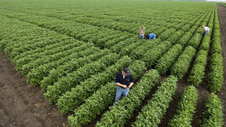 monsanto_farmers.jpg